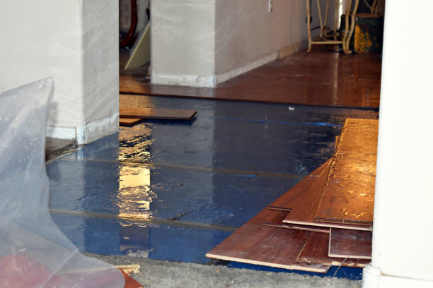 Professional Water Damage Restoration technician working in Risingsun, OH